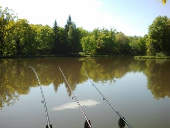 peche en dordogne